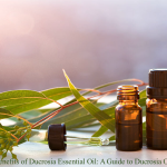 Discover the Benefits of Ducrosia Essential Oil: A Guide to Ducrosia Oil and Its Uses