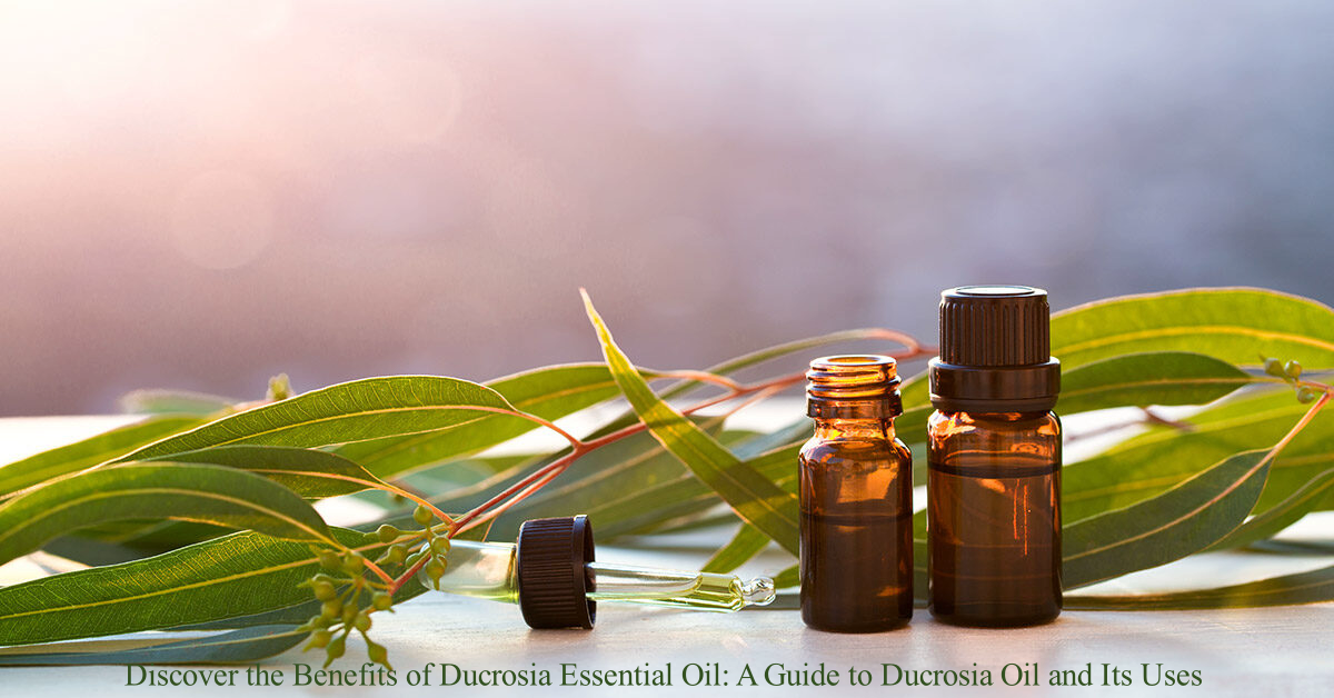Discover the Benefits of Ducrosia Essential Oil: A Guide to Ducrosia Oil and Its Uses