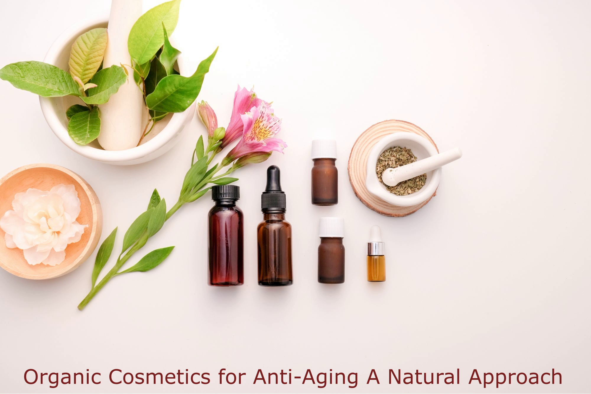 Organic Cosmetics for Anti-Aging A Natural Approach