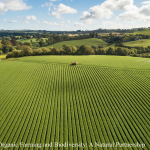 Organic Farming and Biodiversity: A Natural Partnership