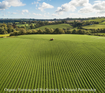 Organic Farming and Biodiversity: A Natural Partnership