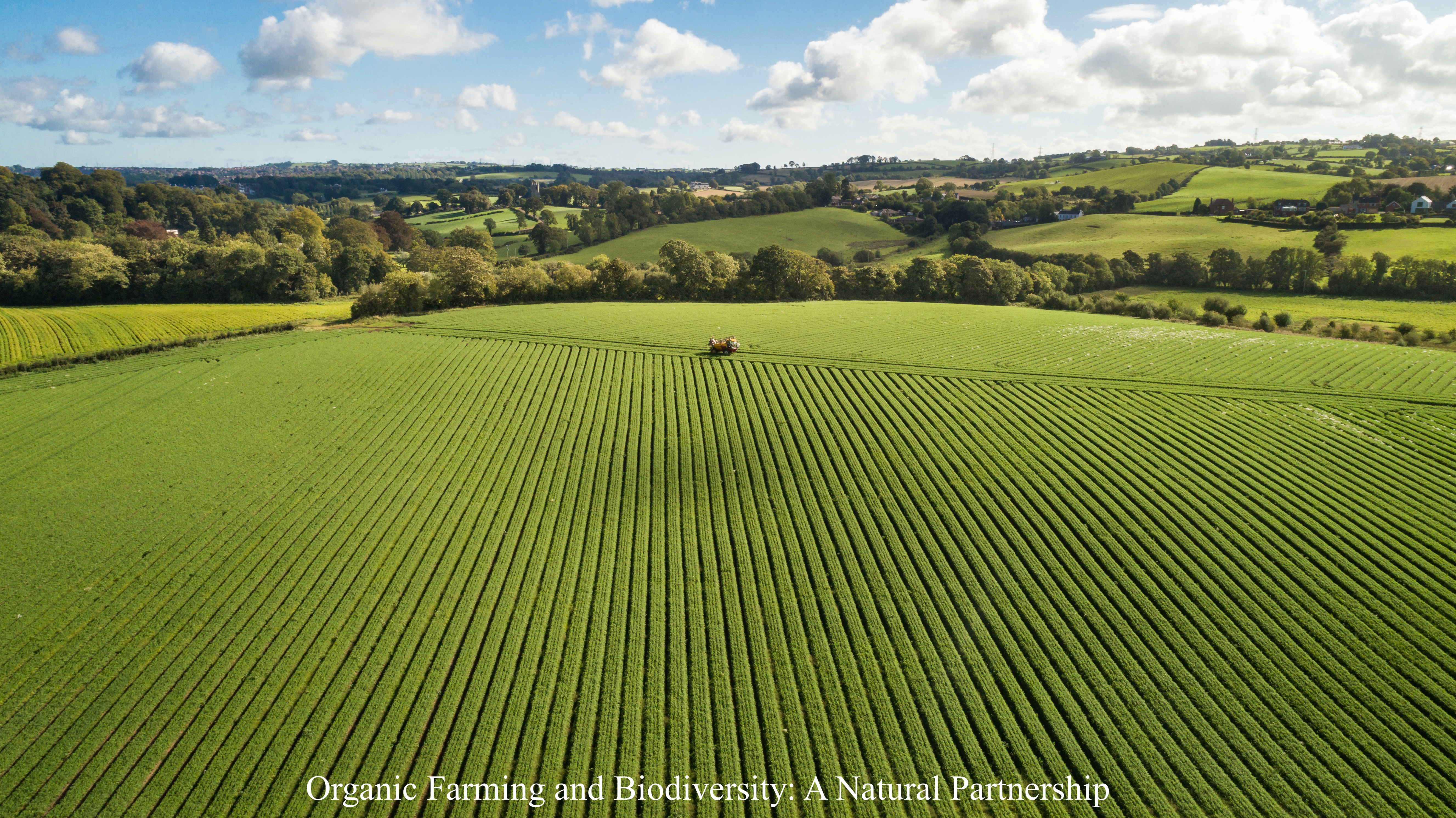 Organic Farming and Biodiversity: A Natural Partnership