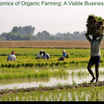 The Economics of Organic Farming: A Viable Business Model?