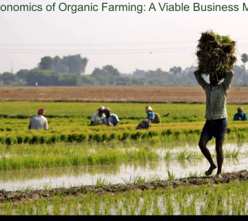 The Economics of Organic Farming: A Viable Business Model?