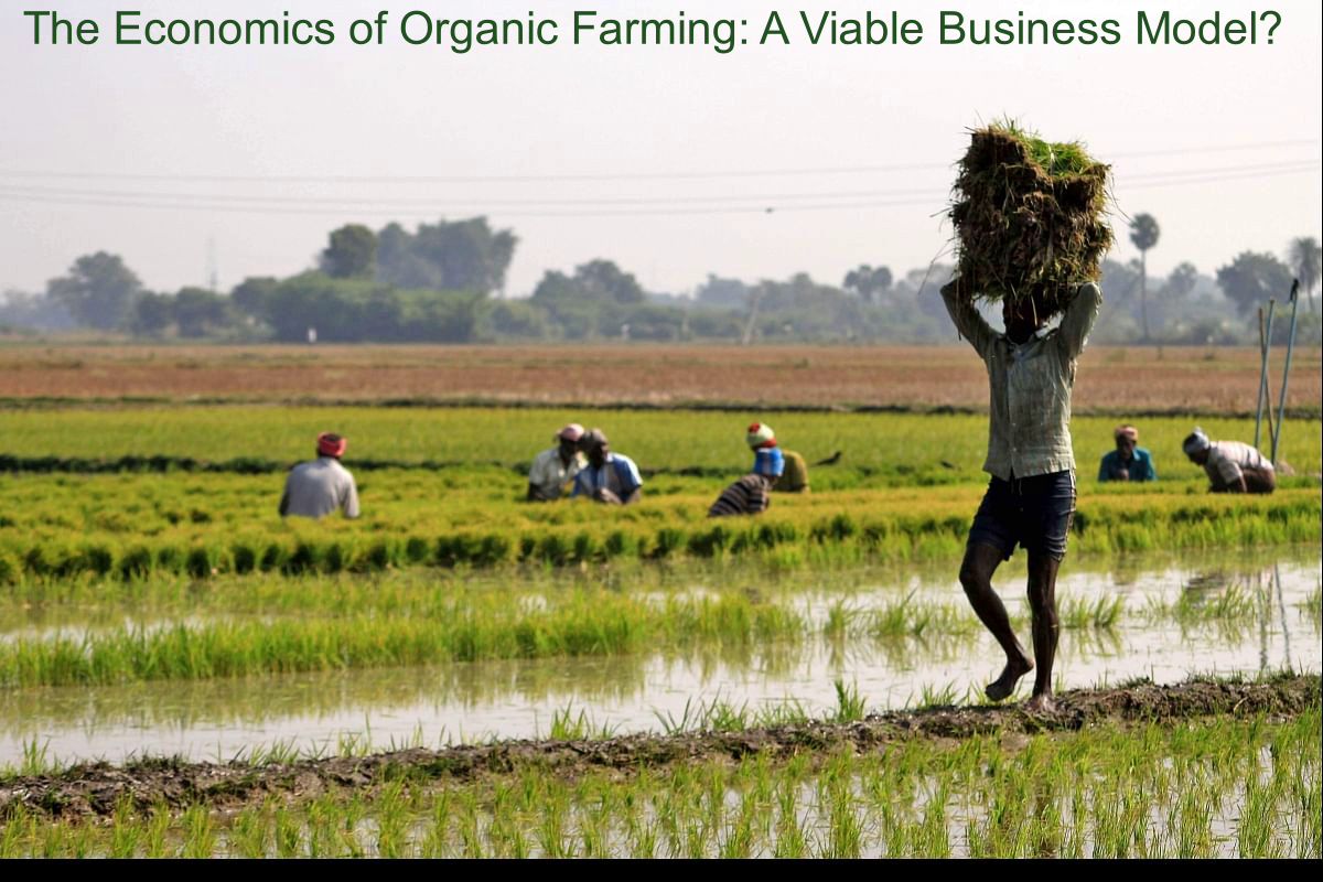 The Economics of Organic Farming: A Viable Business Model?