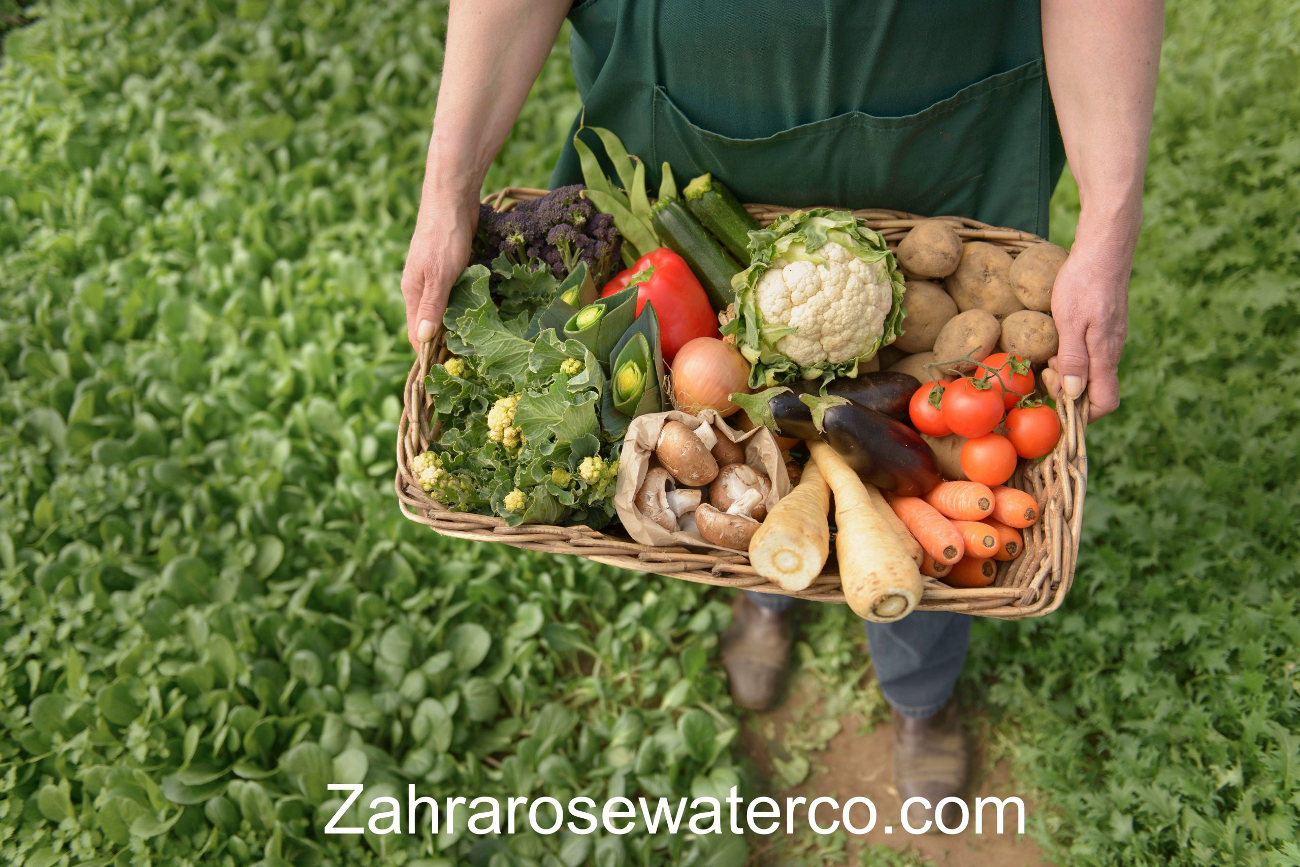 From Farm to Table: The Journey of Organic Food