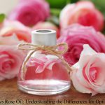Rose Water vs Rose Oil