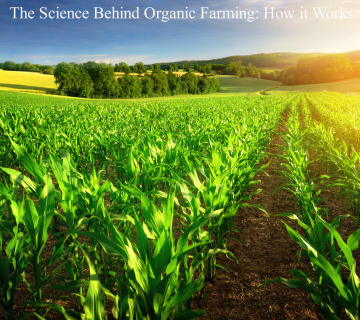 The Science Behind Organic Farming: How it Works