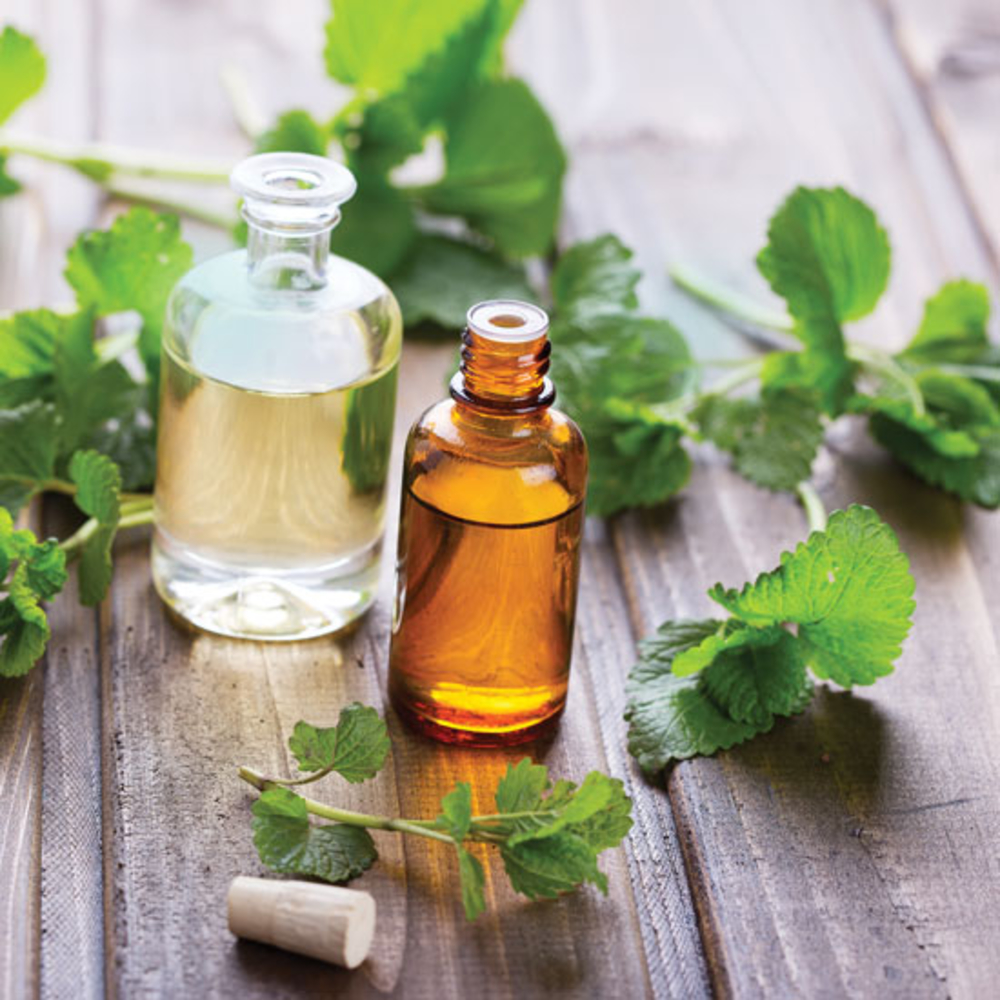 mint extract