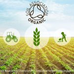 British Soil Association: Championing Sustainable Farming and Organic Food