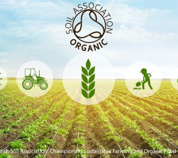 British Soil Association: Championing Sustainable Farming and Organic Food