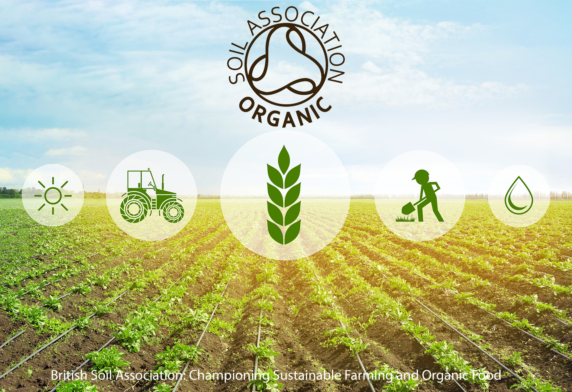 British Soil Association: Championing Sustainable Farming and Organic Food