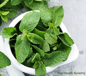 The Health Benefits of Mint Extract