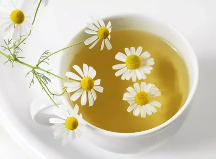 chamomile water