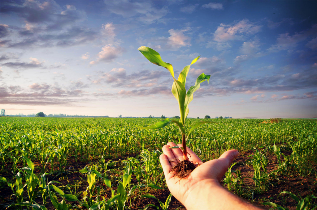 different types of organic farming