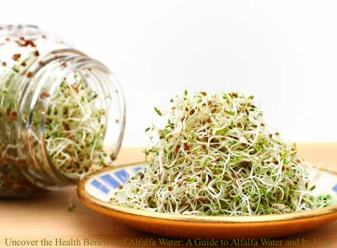 Alfalfa Water
