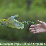 Environmental Impact of Non-Organic Cosmetics