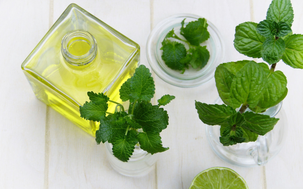 Healing Properties of Mint