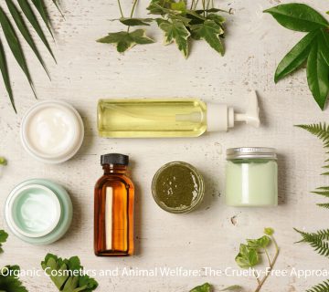 Organic Cosmetics and Animal Welfare: The Cruelty-Free Approach