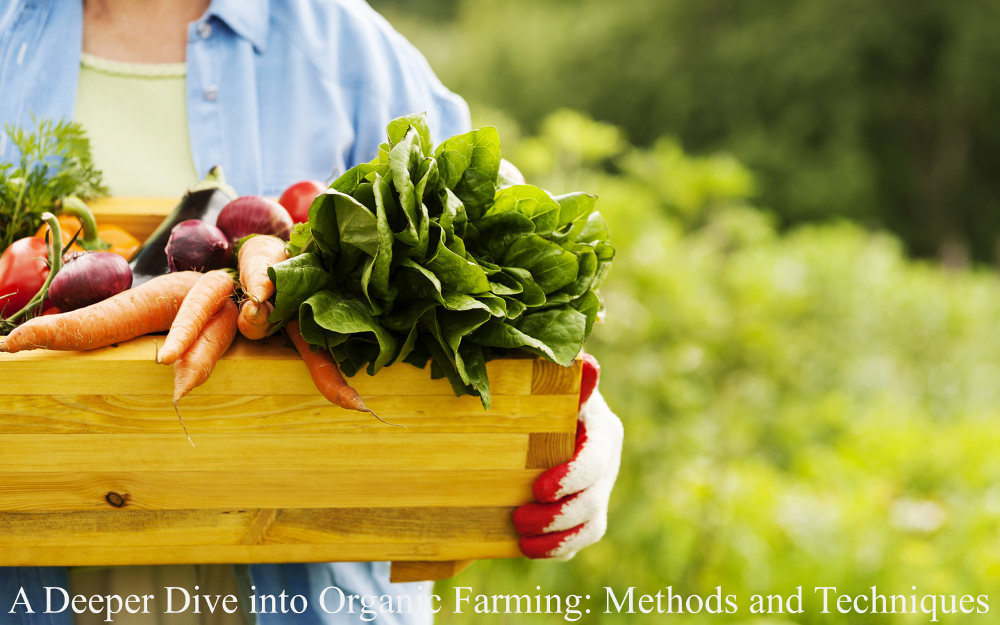 Organic Farming