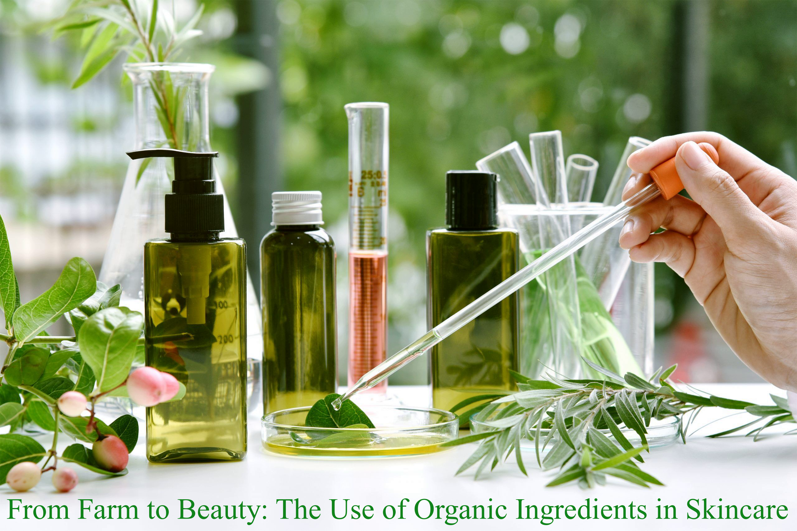 Organic Ingredients in Skincare