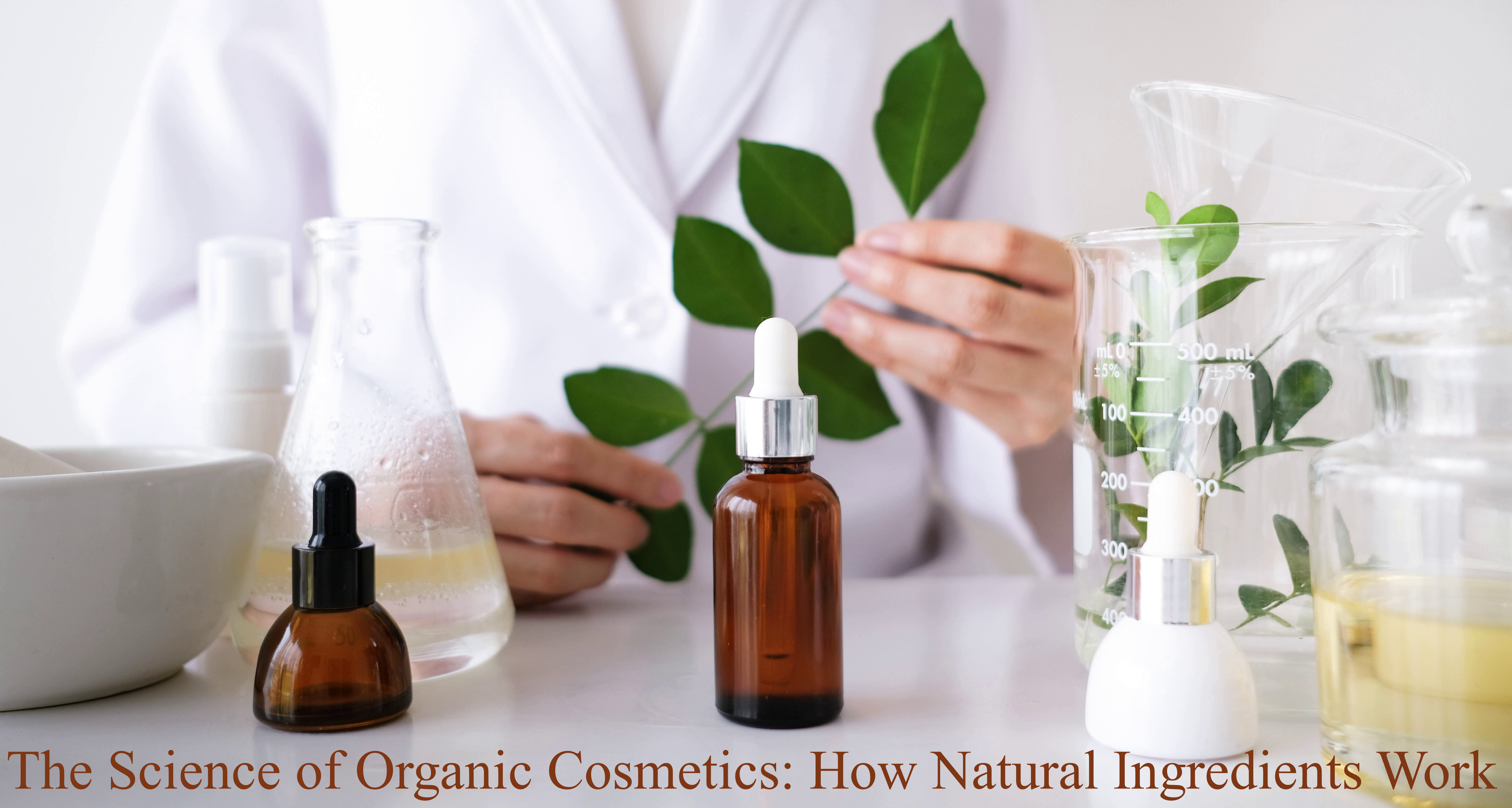 Science of Organic Cosmetics