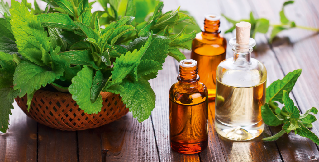Tarragon Essential Oil