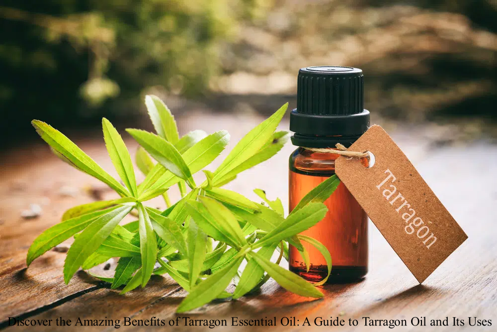 Tarragon-Essential-Oil