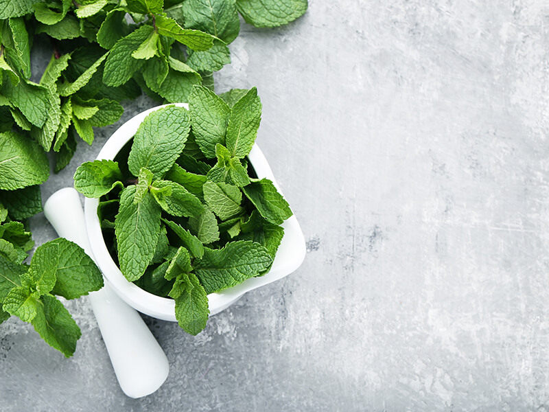 benefits of mint