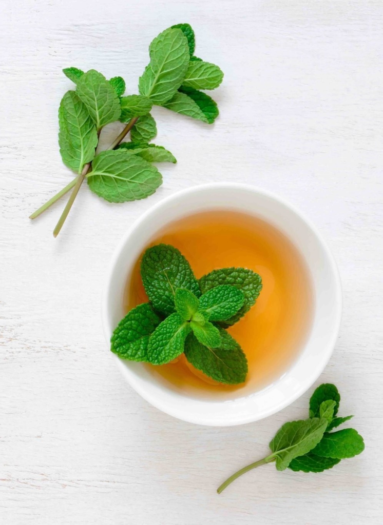 benefits of mint