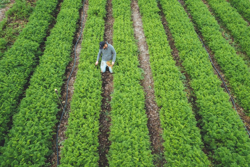 Benefits of Organic Farming
