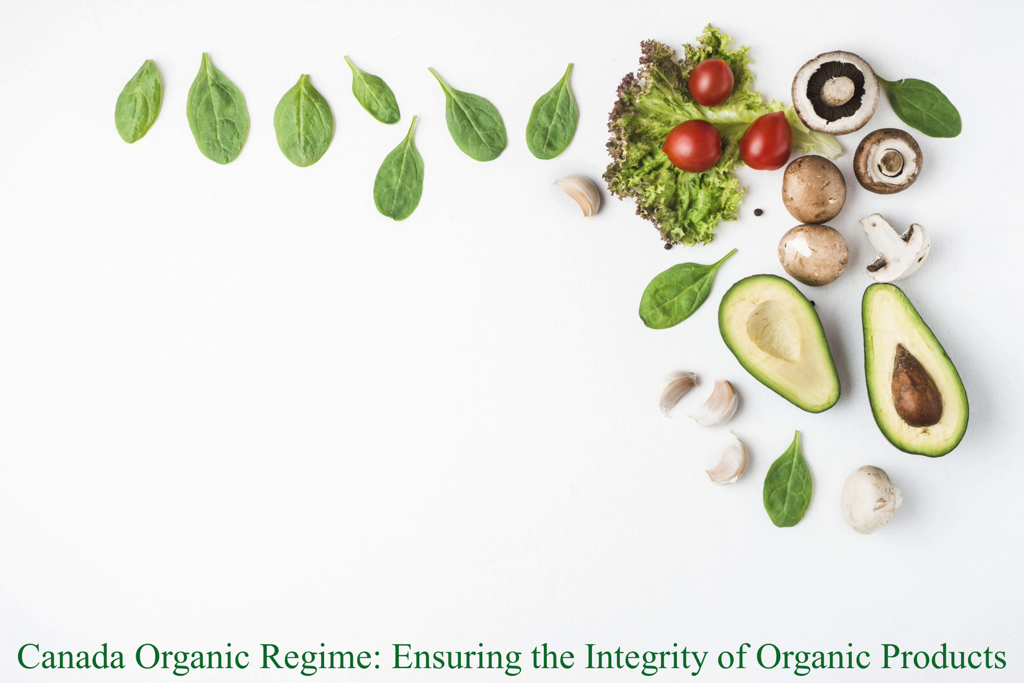Canada Organic Regime