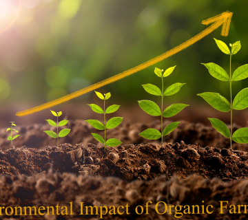 Environmental Impact of Organic Farming