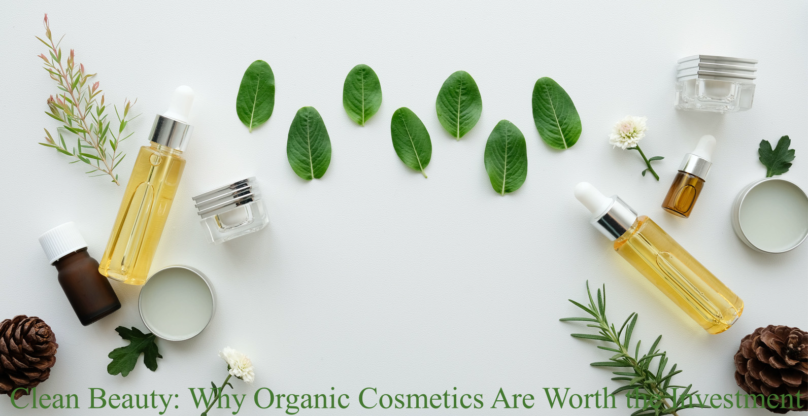 Organic Cosmetics Are Worth the Investment