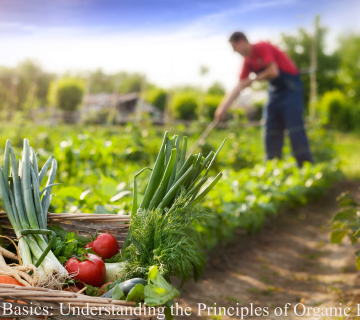 Principles of Organic Farming