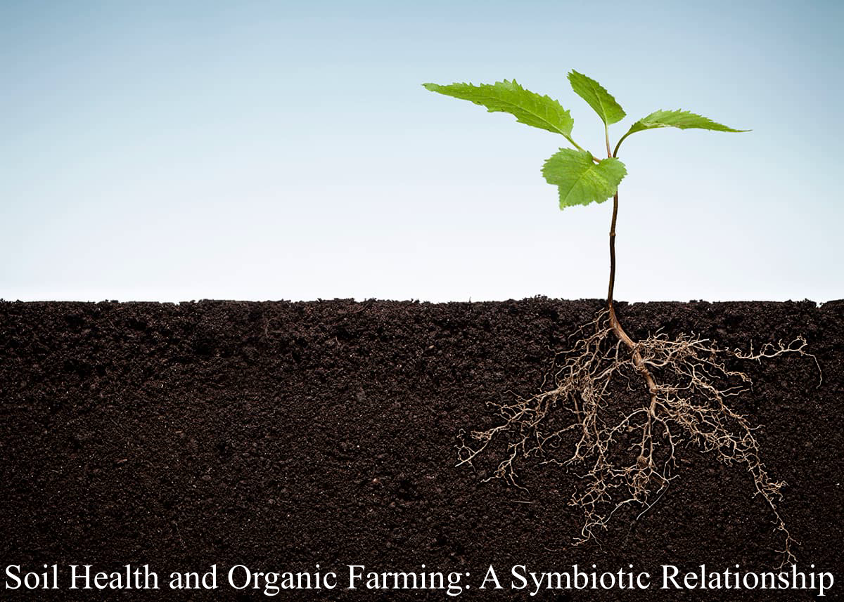 Soil Health and Organic Farming