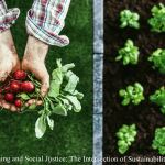 organic farming and social justice