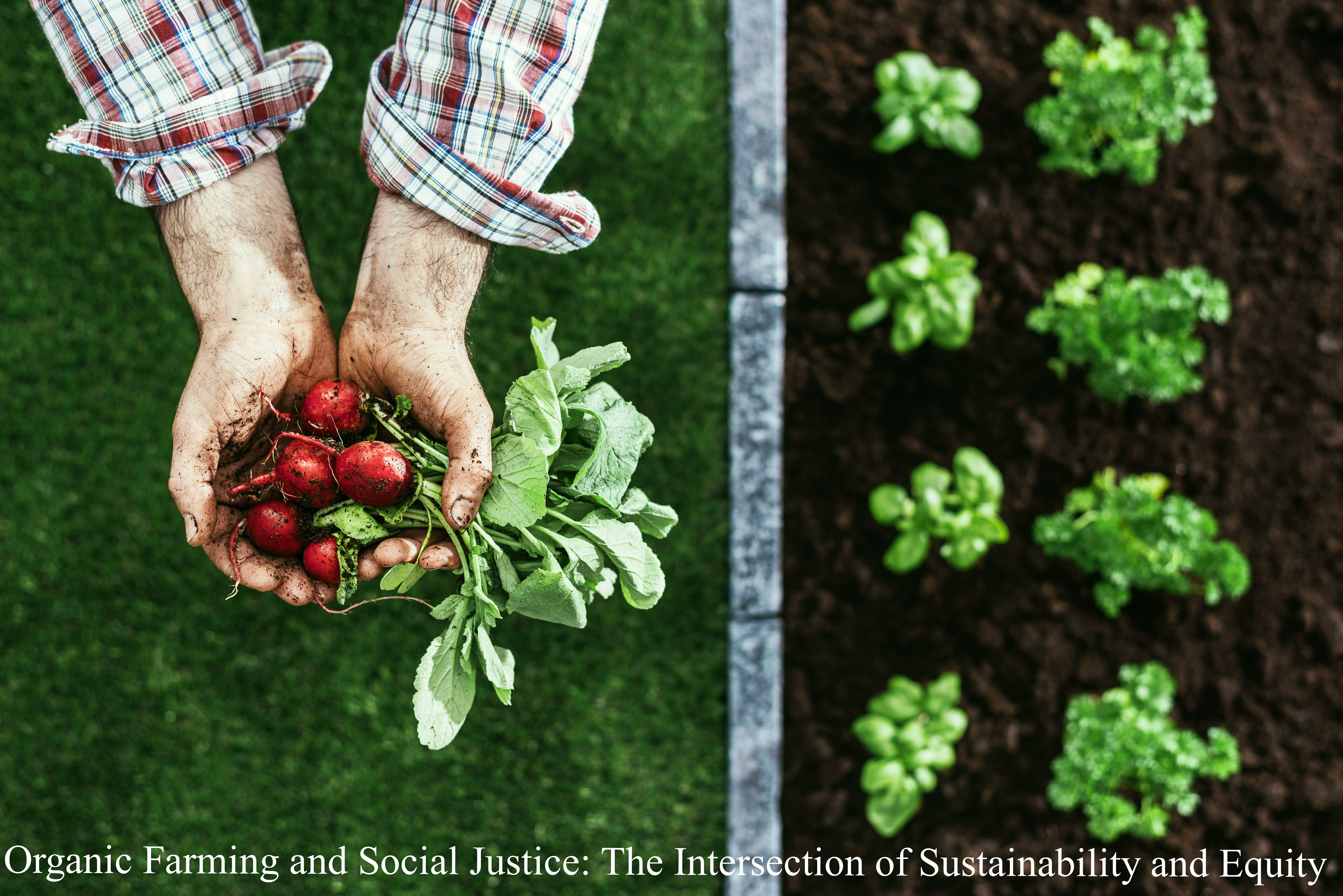 organic farming and social justice