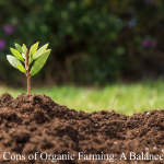 pros and cons of organic farming