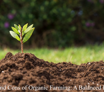 pros and cons of organic farming