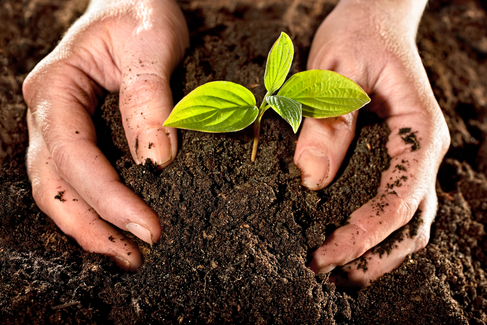 soil-health